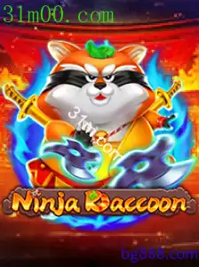 NinjaRaccoon